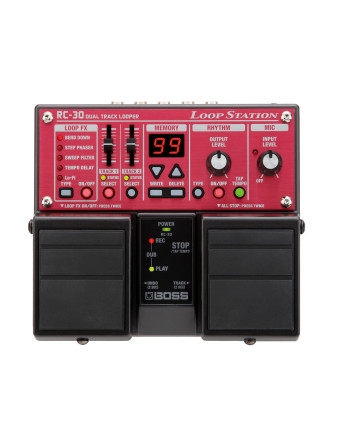 RC-30 Dual track looper